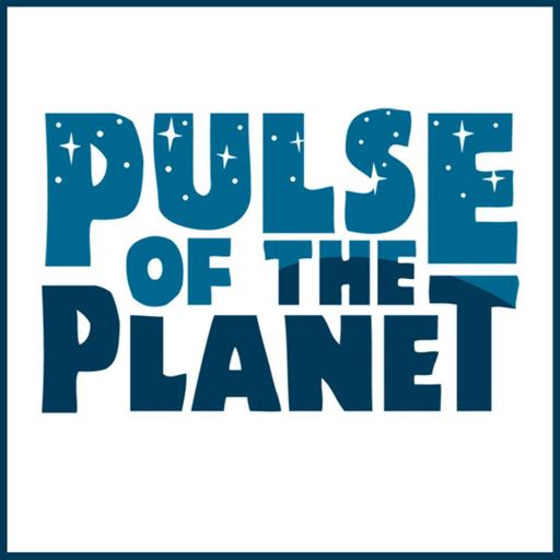 Statues of Wonderland