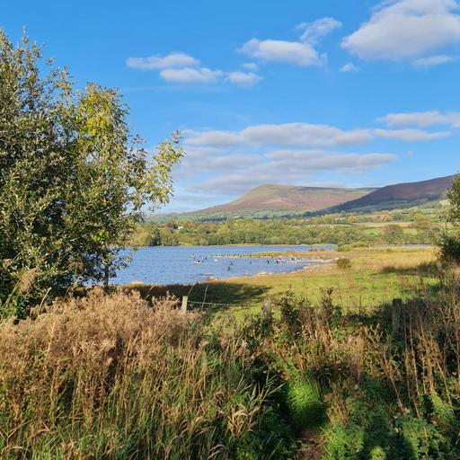 Sound Escape 245. Listen to the whispering reedbed as the sun sets over the wetland
