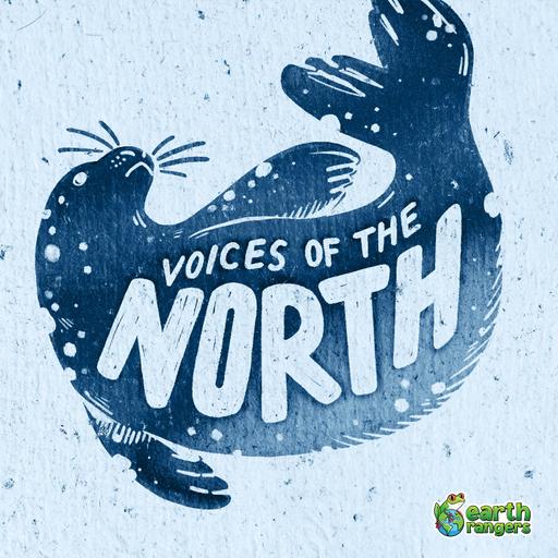 S10 E5: Voices of the North: Use Every Part