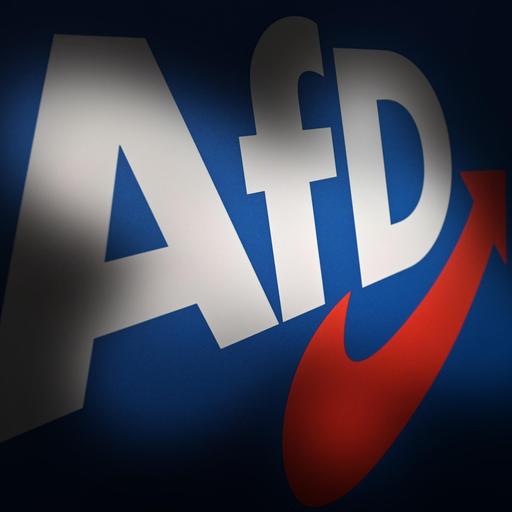 25. November 2025 - Die Wirtschaftspresseschau