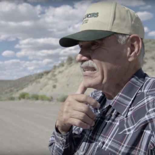 Rural Route Nov 24, 2025 Hank Vogler we hit, labor challengs, EHV1 and if NFR will cancel plus manmade diseases for animals created to end animal ownership.