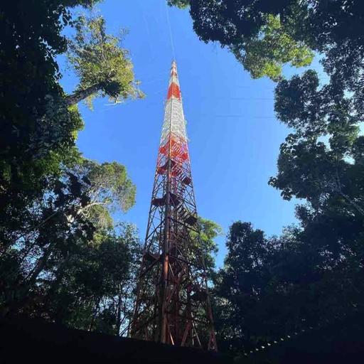 How our planet came to life with Ferris Jabr