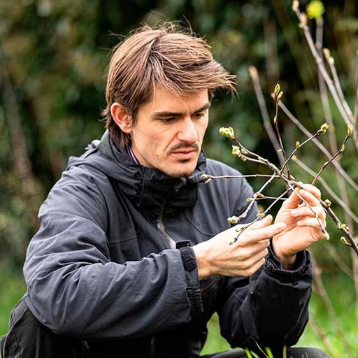 Eat More Trees with Louis De Jaeger