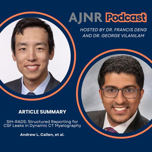 SIH-RADS: Structured Reporting for CSF Leaks in Dynamic CT Myelography
