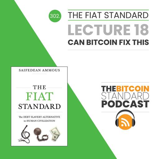 302. The Fiat Standard Chapter 18: Can Bitcoin Fix This?
