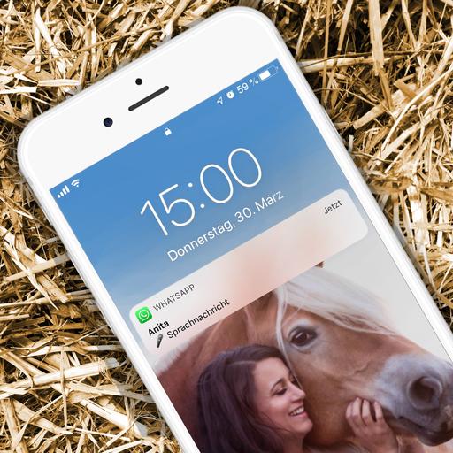 Der hübsche Hufschmied – und wie ich meinen Mann reingelegt hab