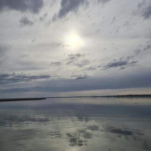 Sound Escape 249. The haunting calls of waders and wild geese on forgotten Essex coast