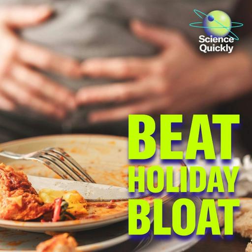 Gut Health Tips for the Holidays