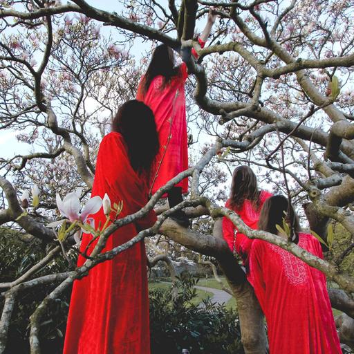 Episode 328: Oli Genn-Bash: Animism/The Fungi Consultant/Codex Serafini