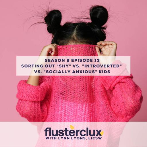 Sorting Out "Shy" Vs. "Introverted" Vs. "Socially Anxious" Kids