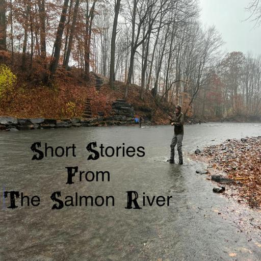 Short Stories From The Salmon River | Swinging In The Rain