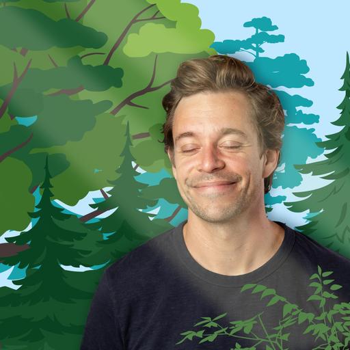 Wald | So viel mehr als Bäume