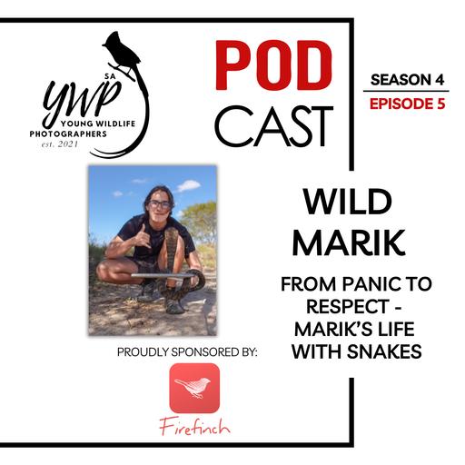 YWP Podcast Season 4 Episode 5 - From Panic to Respect - Marik’s Life with Snakes