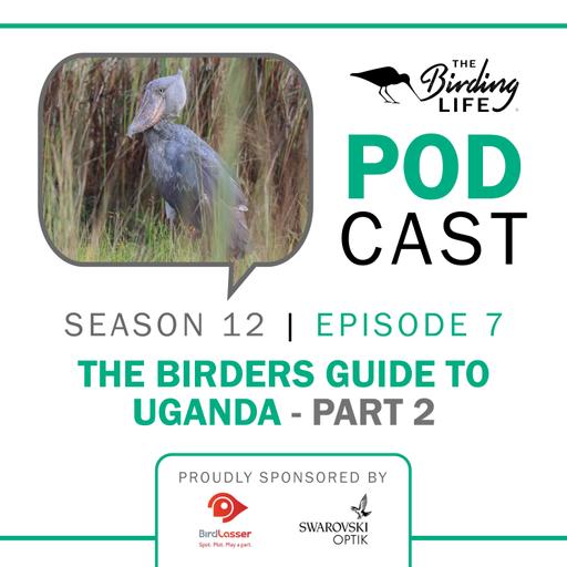TBL Podcast Season 12 Episode 7 -The Birders Guide to Uganda Part 2