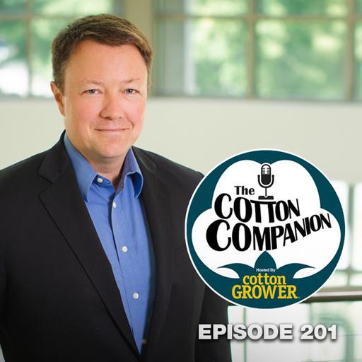 Will Cotton Break Out of It’s Narrow Trading Window in 2026?