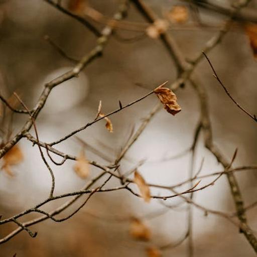 What False Teachings Should Make Me Leave a Church?