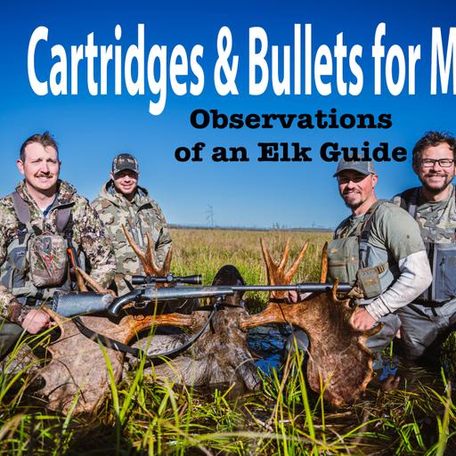 Cartridges & Bullets for Moose: Observations of an Elk Guide