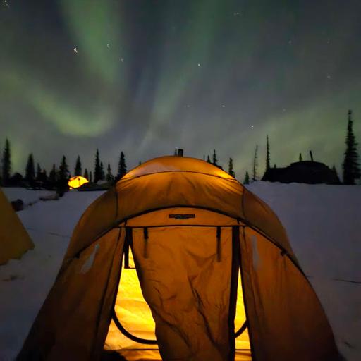 Earth as a Space Lab: Sand Dunes in Alaska