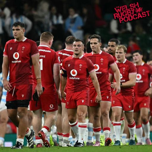 Wales 28-52 Argentina: A tough start for Steve Tandy...