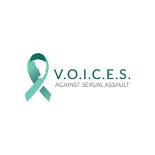 Combat Veteran Christy Hinnant Founder, CEO, and Clinical Director of Voices Against Sexual Assault