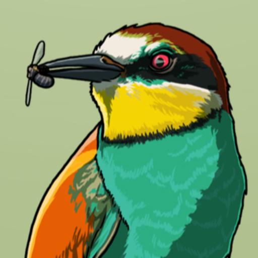 A Rainbow Winged Wanderer