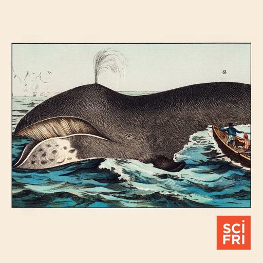 Can Animal Super-Agers Teach Us Their Secrets?