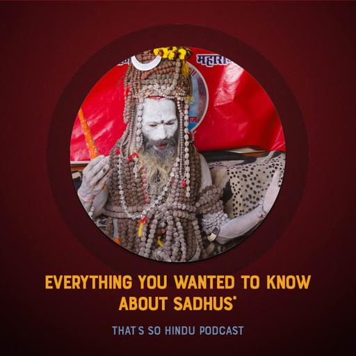 Everything you wanted to know about sadhus*