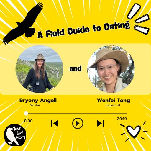 Angell and Tong, A Field Guide to Dating