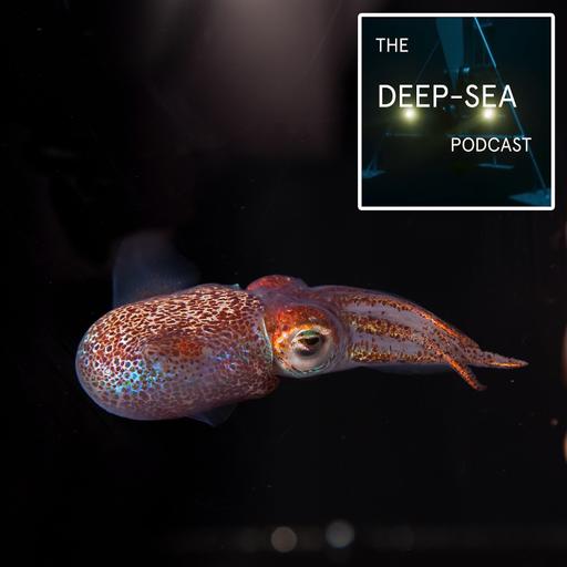 Bioluminescent Symbiosis with Margaret McFall-Ngai