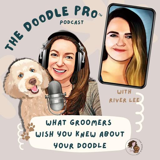 81: Why Your Doodle’s Groomer is Struggling… and What You Can Do to Help