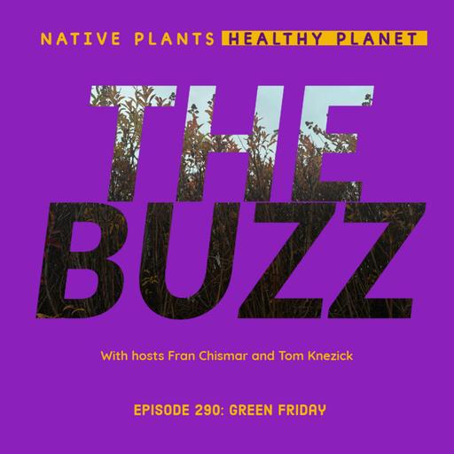 The Buzz - Green Friday