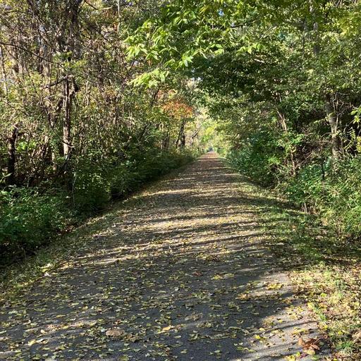 Podcast Art: Autumn walk