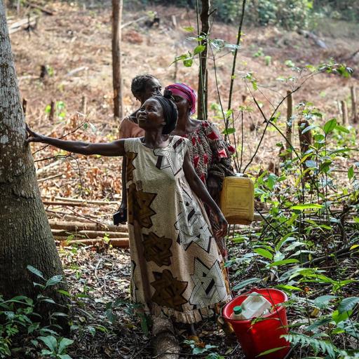 The 'barefoot lawyers' helping Indigenous and local communities reclaim their land