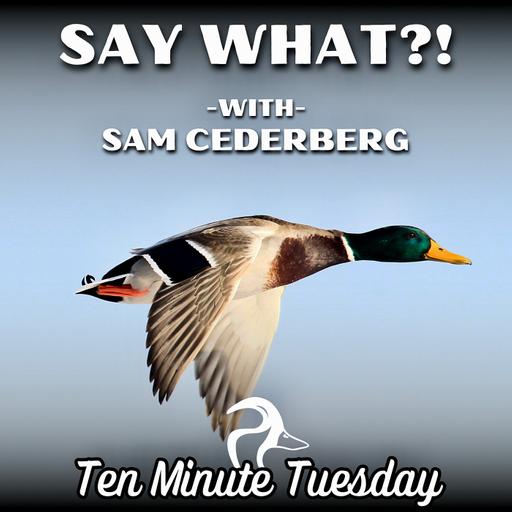 Say What?! With Sam Cederberg