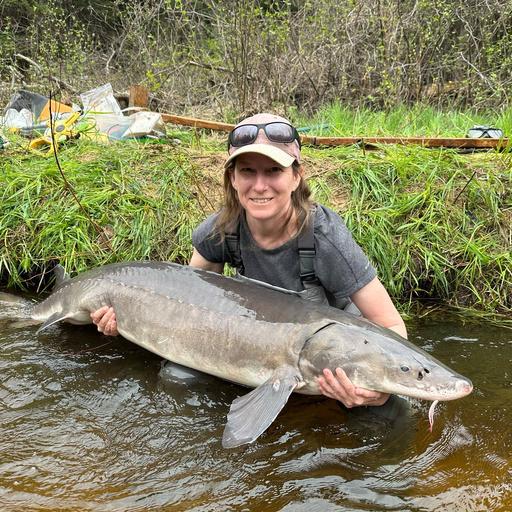 336 - Should we keep stocking Chinook Salmon in Lake Ontario? A converstaion with Dr. Kathryn Peiman