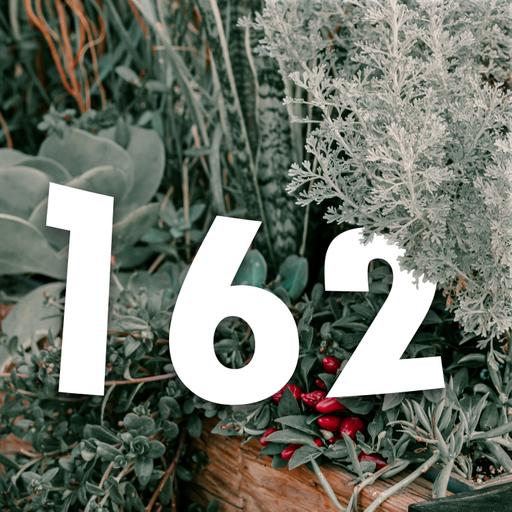 162 - December's Must-Do Garden Tasks