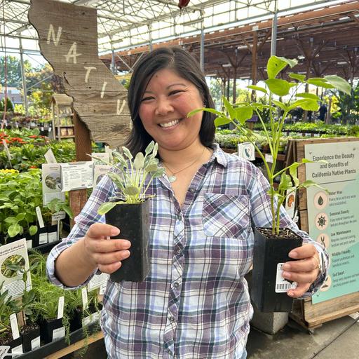 Celebrating California Natives with Sacramento Valley CNPS