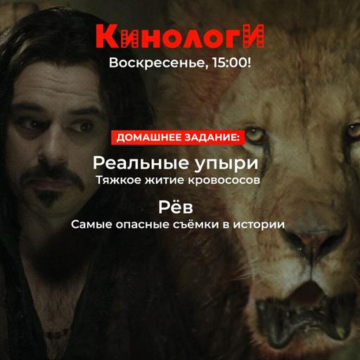 Кинологи 20251019. Рёв реальных упырей