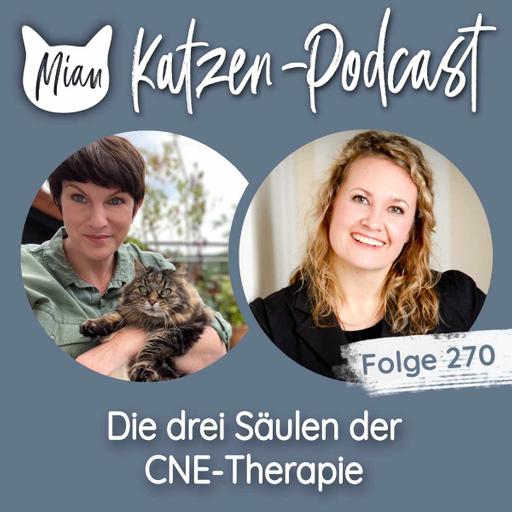 Die drei Säulen der CNE-Therapie bei der Katze | MKP270