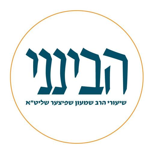 הבינני בהלכה #941 - סימן ש"ו, באיזה חפצים מותר לדבר בשבת סעיף ט', י', י"א ח"א