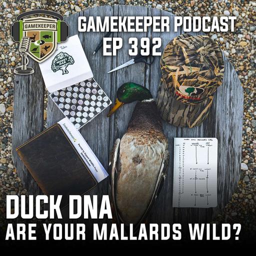 EP:392 | Are Your Mallards Wild?