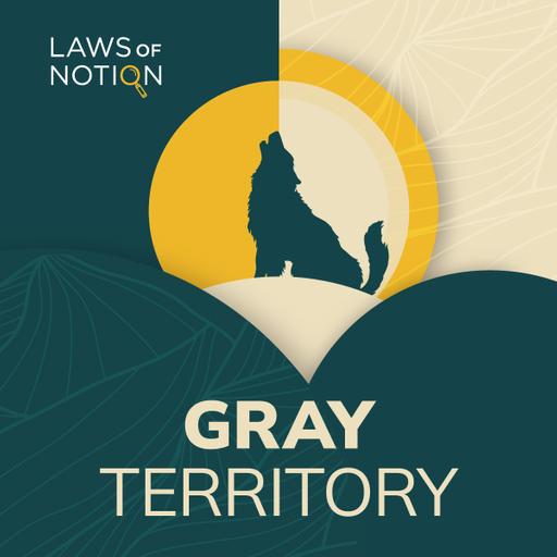 Gray Territory: Beyond the Divide (S5 Ep5)