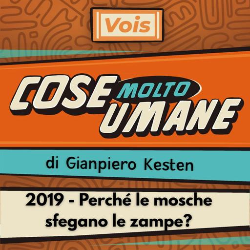 2019 - Perché le mosche sfregano le zampe?
