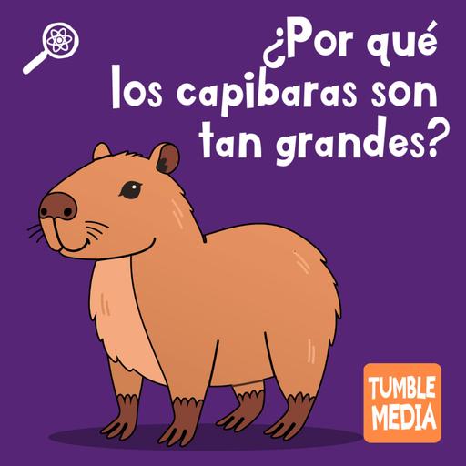 Podcast invitado: Tumble en Español