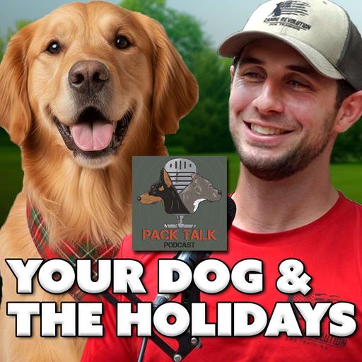 #144 Managing Your Dog for the Holidays: Keep Your Pup Calm, Safe & Happy