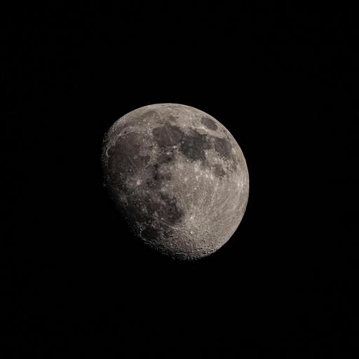 Die Verlierer - Punk-Musiker als Mondfans mit Voyager-Begeisterung