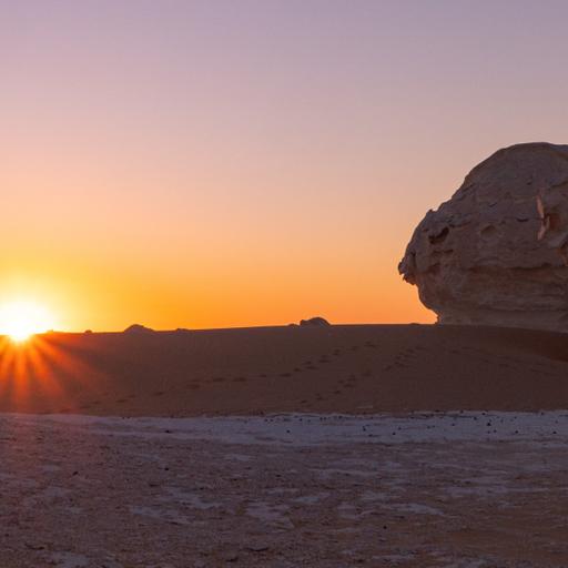 252: Practical Ways to Cope with Daily Hassles