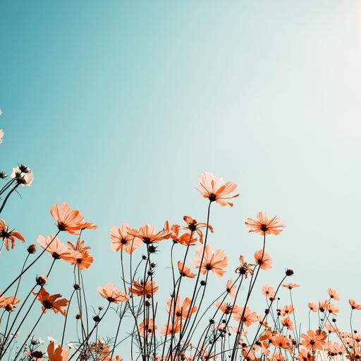 251: How to Get More Out of Every Therapy Session