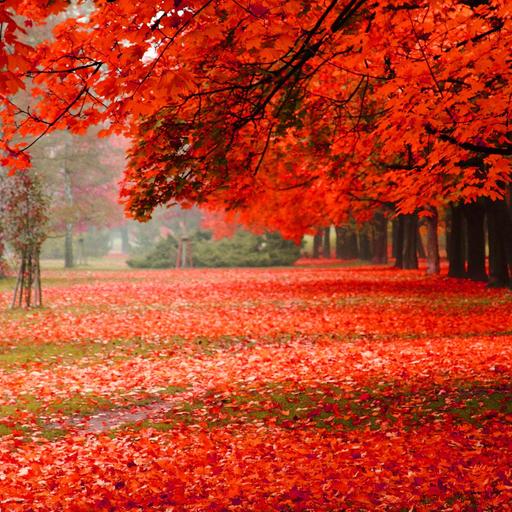 250: The Fear of Being Judged in Therapy