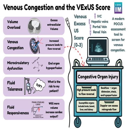 #193 Venous Congestion & VEXUS Interview with Dr. Ross Prager